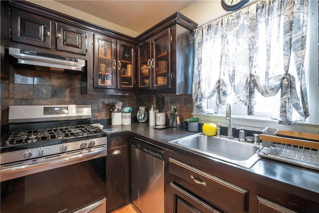 kitchen featuring backsplash, dark brown cabinetry, sink, and appliances with stainless steel finishes