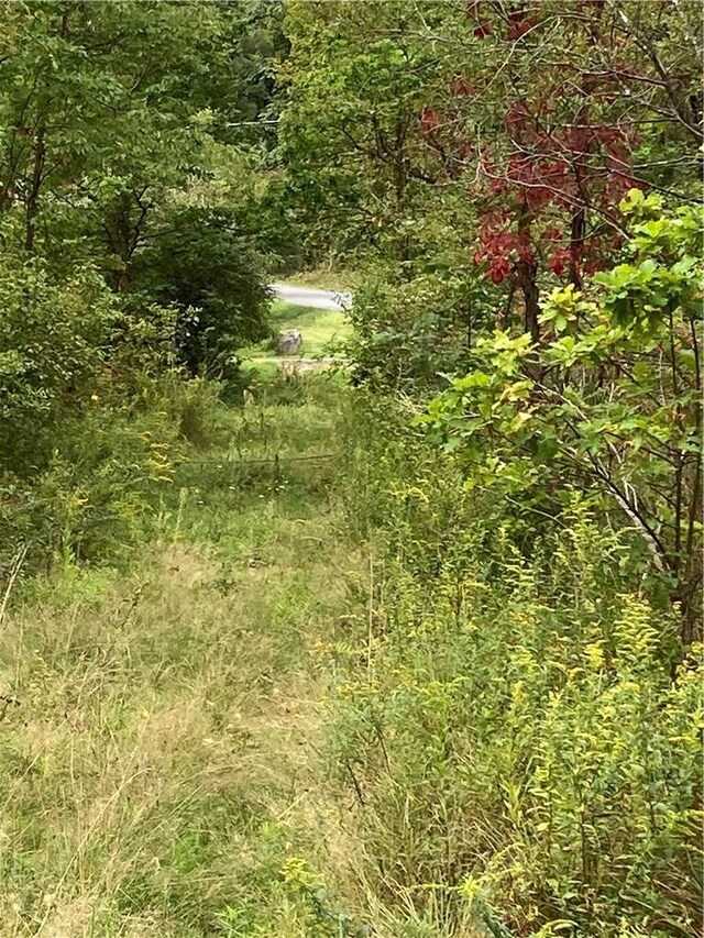 Logtown Rd, Port Jervis, NY 12771 - photo 4
