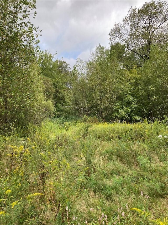 Logtown Rd, Port Jervis, NY 12771 - photo 8