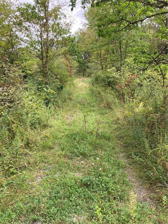 Logtown Rd, Port Jervis, NY 12771 - photo 10