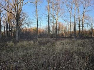 Logtown Rd, Port Jervis, NY 12771 - photo 14