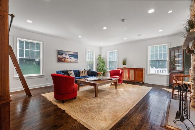 living room featuring dark wood-type flooring and ornamental molding