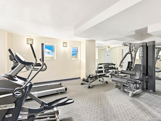 workout area featuring carpet flooring