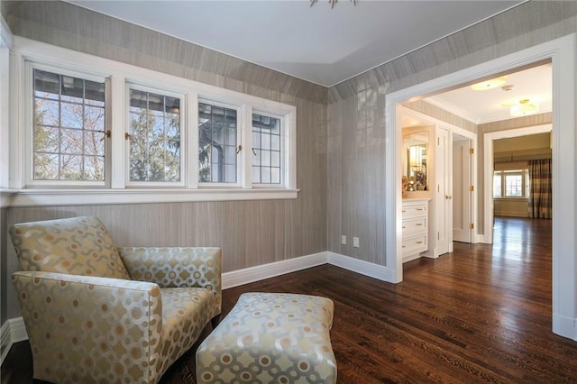 sitting room with dark wood-type flooring