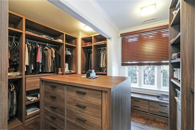 walk in closet with dark hardwood / wood-style flooring