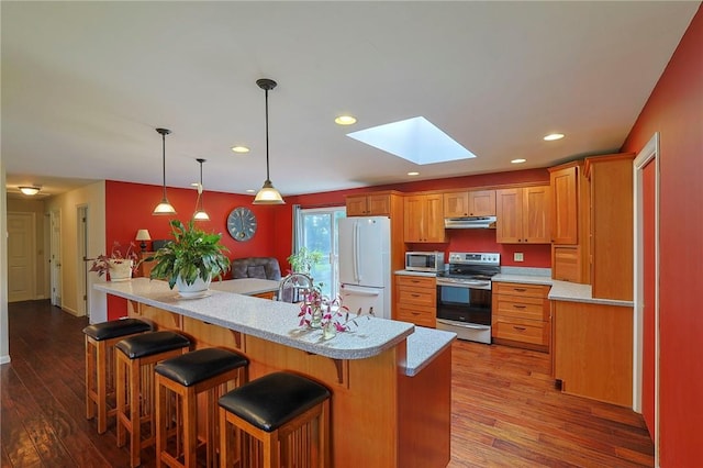 kitchen featuring kitchen peninsula, appliances with stainless steel finishes, a skylight, pendant lighting, and light hardwood / wood-style floors