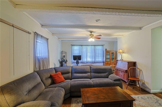 living room featuring beamed ceiling, ceiling fan, and hardwood / wood-style floors