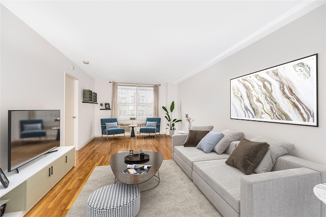 living room with light hardwood / wood-style flooring