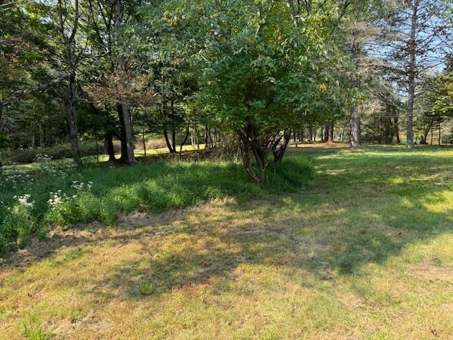 471 Mountain Rd, Bloomingburg, NY 12721 - photo 2