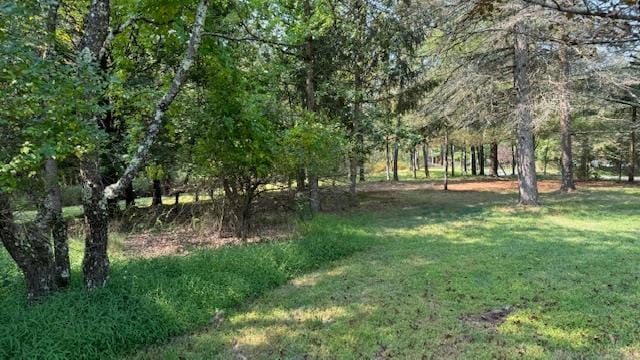 471 Mountain Rd, Bloomingburg, NY 12721 - photo 12