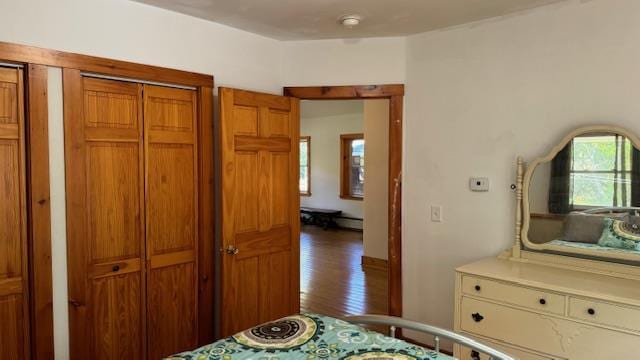 bedroom with multiple windows, a closet, and wood-type flooring