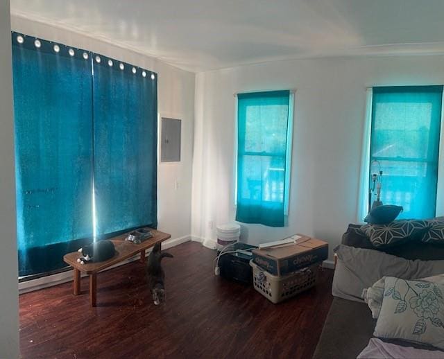 living room featuring dark hardwood / wood-style flooring and electric panel