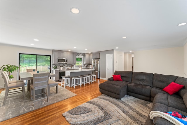 47 Riverside Rd, Newtown, CT 06482 - living room featuring recessed lighting and light wood finished floors
