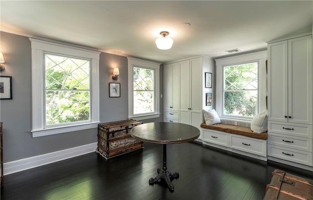 sitting room featuring dark wood-type flooring