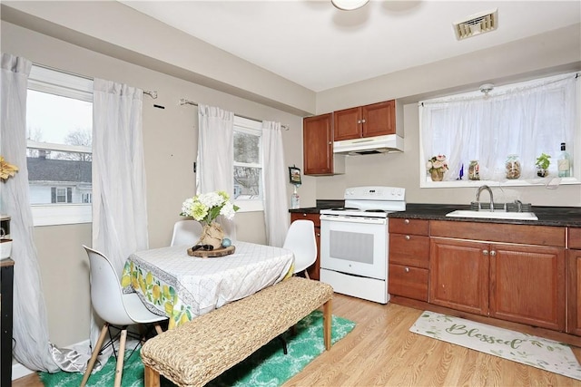 kitchen featuring white electric range oven, light hardwood / wood-style flooring, and sink