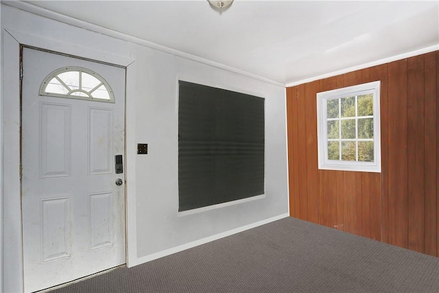 entrance foyer featuring carpet and wooden walls