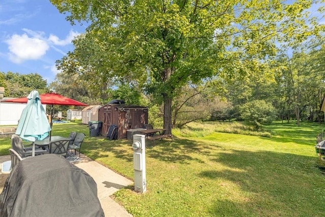 view of yard with a patio area and a storage unit