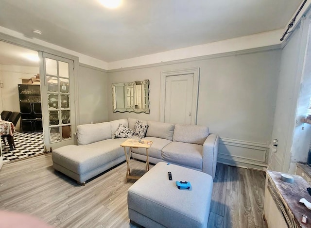 living room featuring wood-type flooring