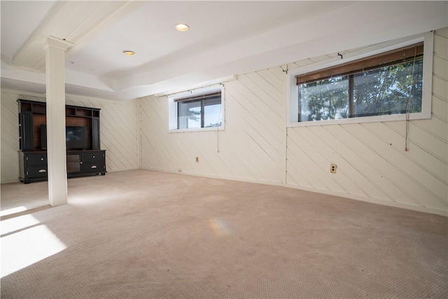 basement featuring wood walls and carpet floors