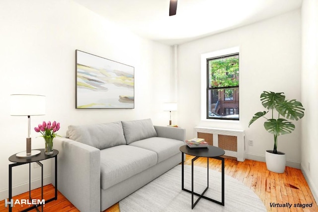 living room with ceiling fan, radiator, and light hardwood / wood-style flooring