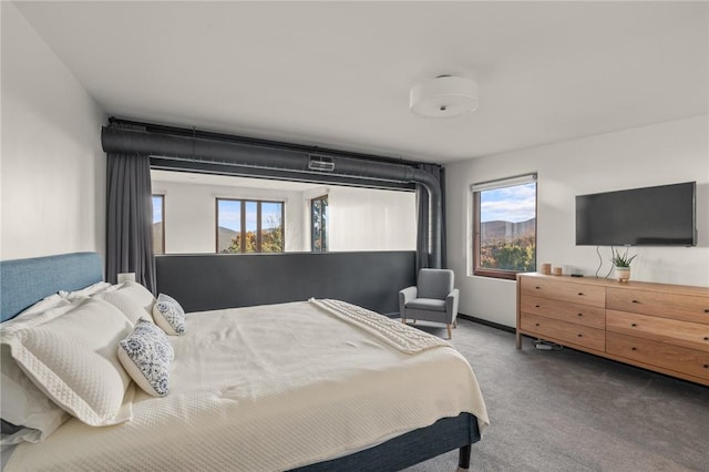 carpeted bedroom with multiple windows