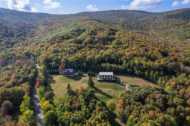 bird's eye view with a mountain view