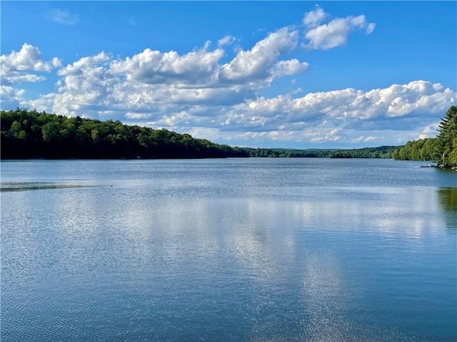 150 Wildwood Dr Unit 20, Fallsburg, NY 12733 - photo 2
