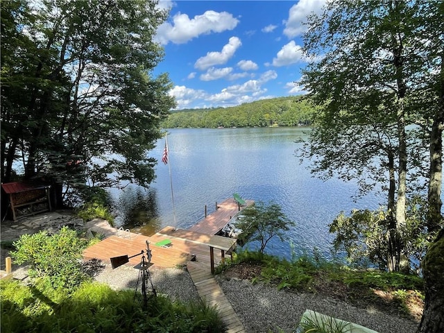 150 Wildwood Dr Unit 20, Fallsburg, NY 12733 - photo 3