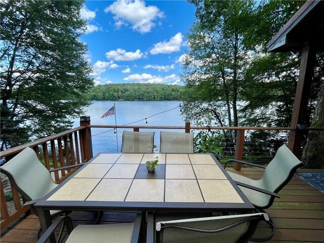 150 Wildwood Dr Unit 20, Fallsburg, NY 12733 - photo 11