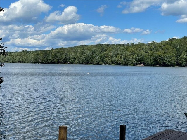 150 Wildwood Dr Unit 20, Fallsburg, NY 12733 - photo 34