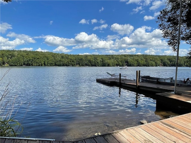 150 Wildwood Dr Unit 20, Fallsburg, NY 12733 - photo 36