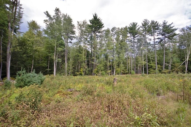 733 Braden Rd, Greenfield Park, NY 12435 - view of tree filled area