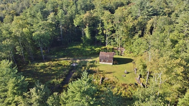 733 Braden Rd, Greenfield Park, NY 12435 - aerial view of property's location featuring a forest