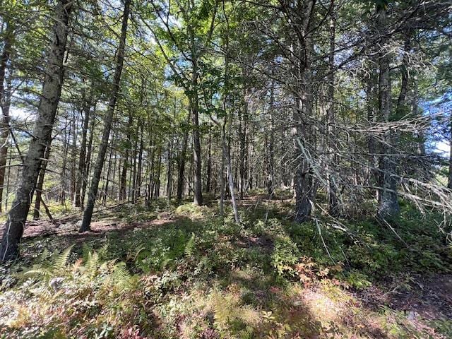 Listing photo 3 for LOT64 Haring Rd, Glen Spey NY 12737