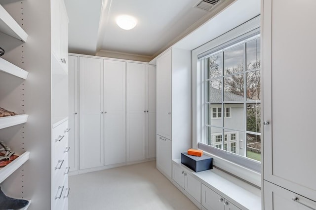 mudroom featuring plenty of natural light