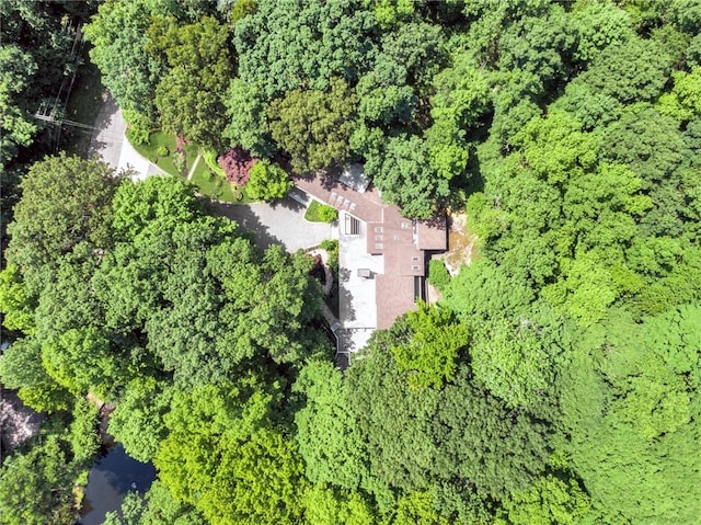 5 Deerfield Ln, Mamaroneck, NY 10543 - photo 34
