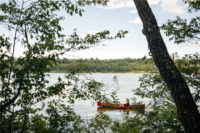 property view of water