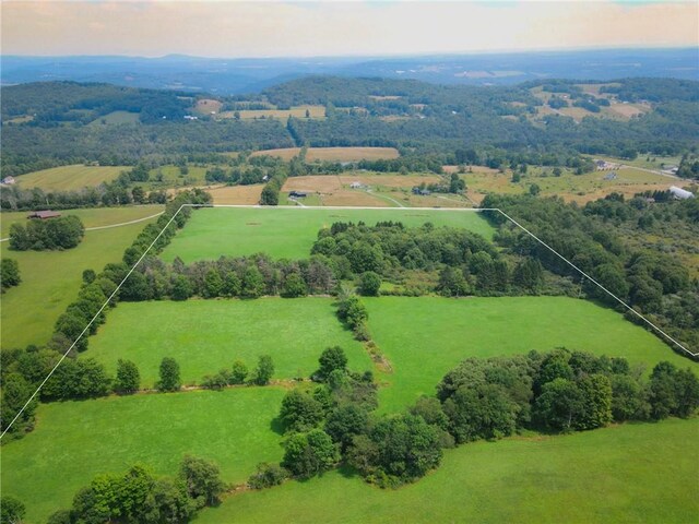 00 Beechwoods Rd, Callicoon, NY 12723 - photo 4