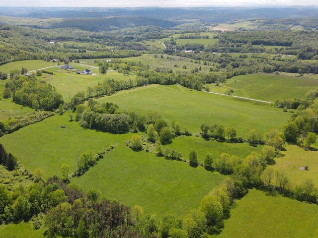 00 Beechwoods Rd, Callicoon, NY 12723 - photo 1