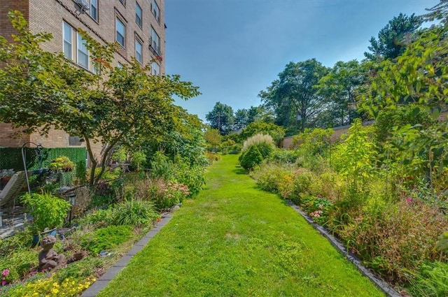 exterior space featuring a lawn