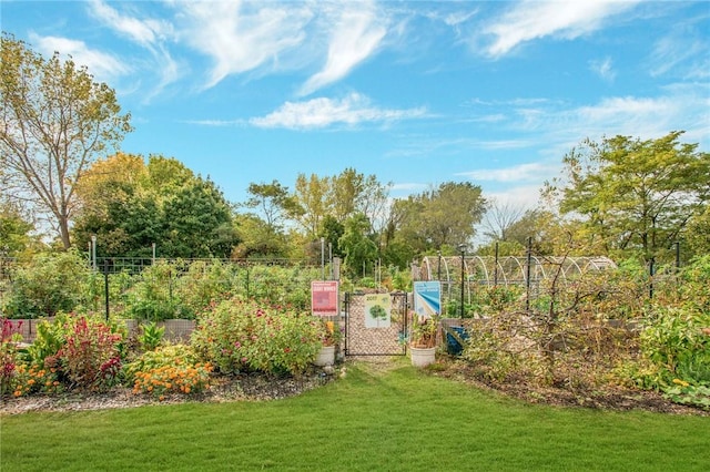 view of yard featuring a vegetable garden and fence