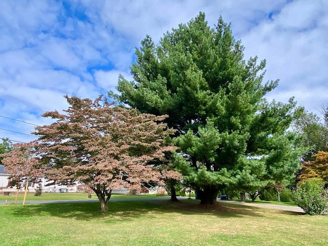 view of home's community featuring a yard