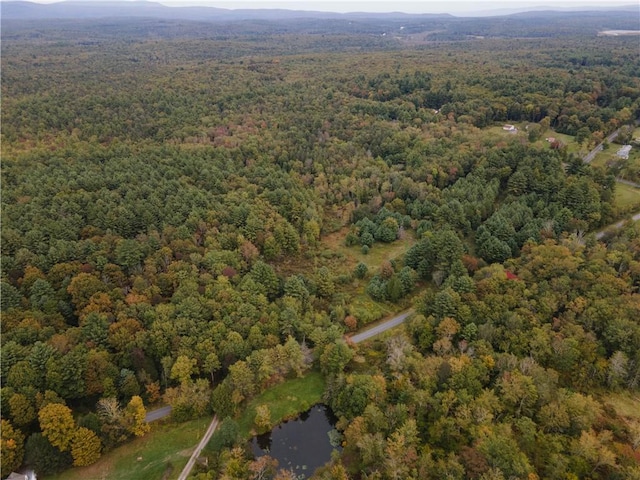 Briggs Hwy, Ellenville NY, 12428 land for sale