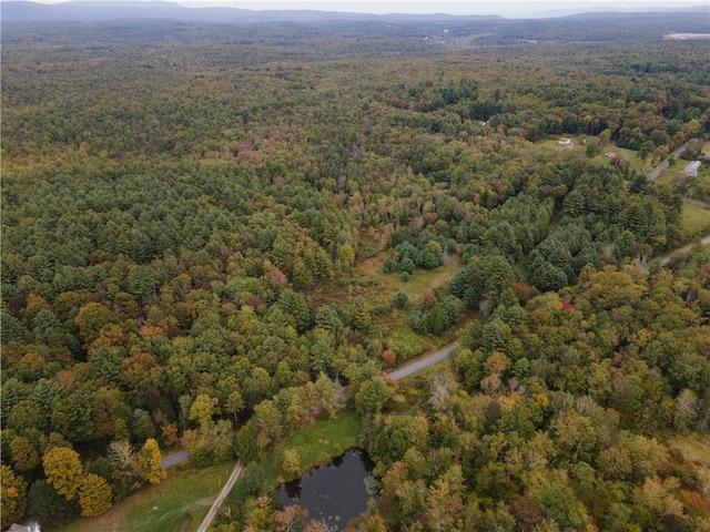 Briggs Hwy, Ellenville, NY 12428 - photo 1