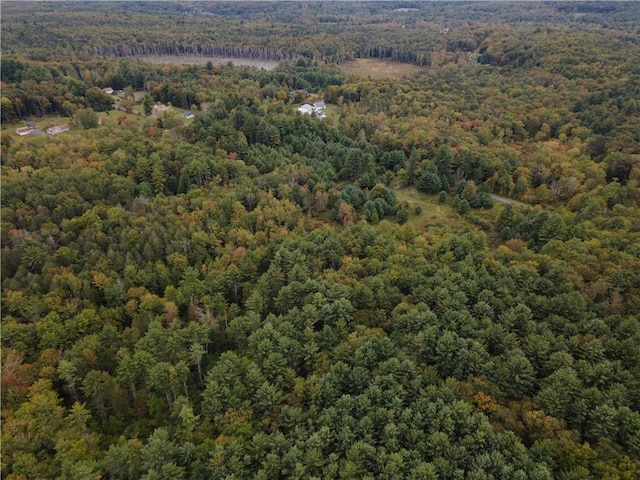 Briggs Hwy, Ellenville, NY 12428 - photo 2