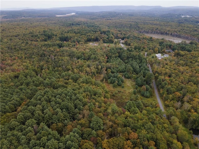 Briggs Hwy, Ellenville, NY 12428 - photo 3
