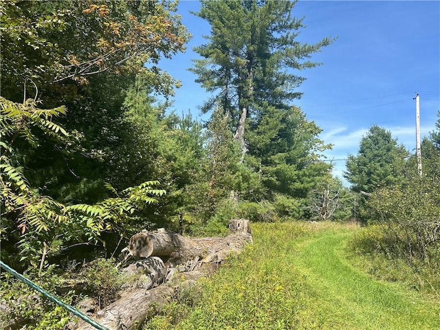 Briggs Hwy, Ellenville, NY 12428 - photo 4
