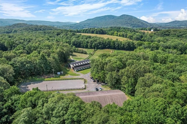 bird's eye view with a mountain view