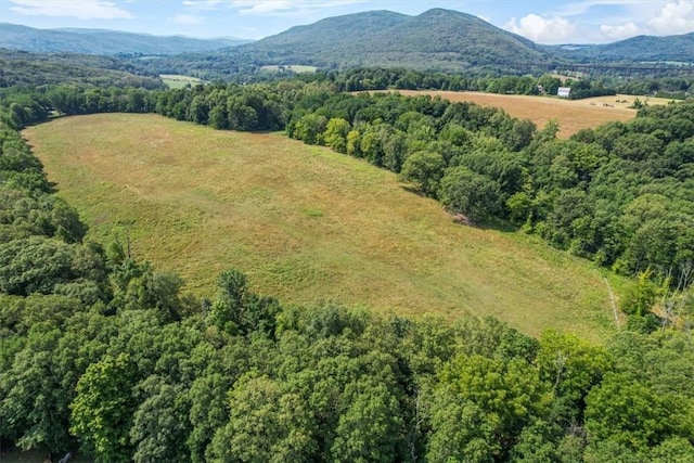 drone / aerial view with a mountain view