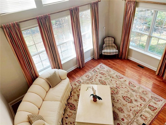 interior space with plenty of natural light and wood-type flooring